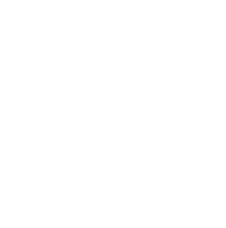 Your FIRM Stat Icon CRITICAL ILLNESS