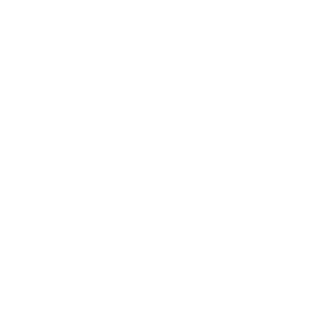 Your FIRM Stat Icon FIRE
